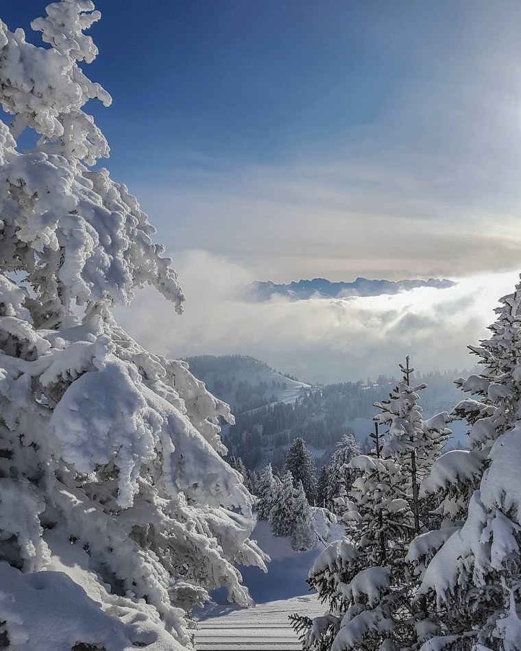 Зимний рассвет