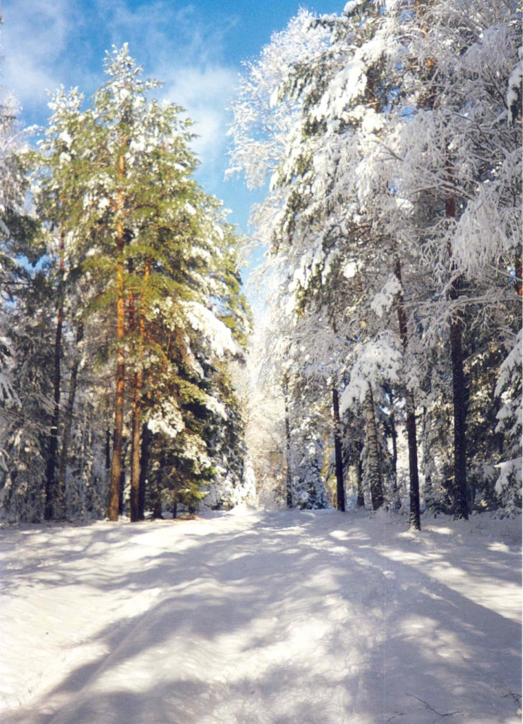 Завораживающие зимние пейзажи