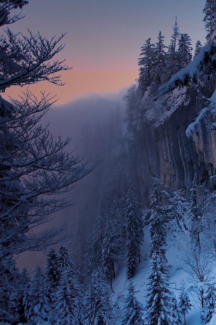 Сказочный зимний лес