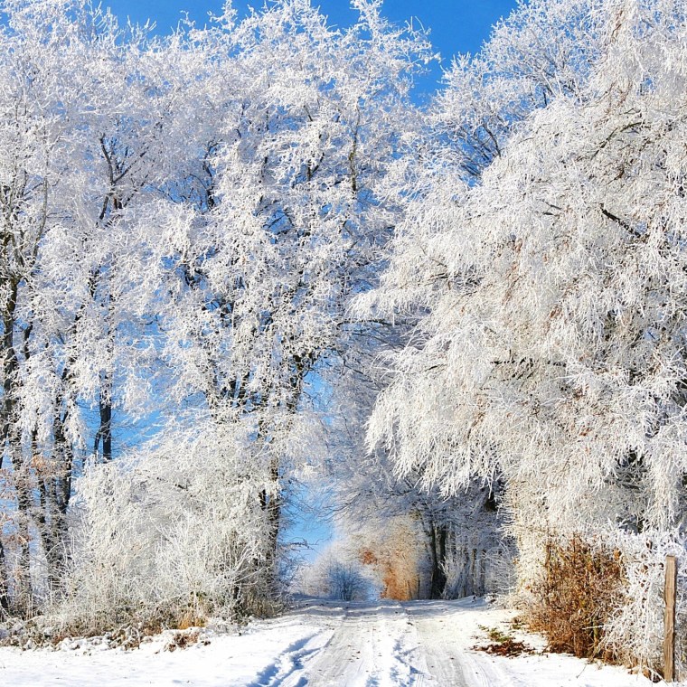 Зимняя природа