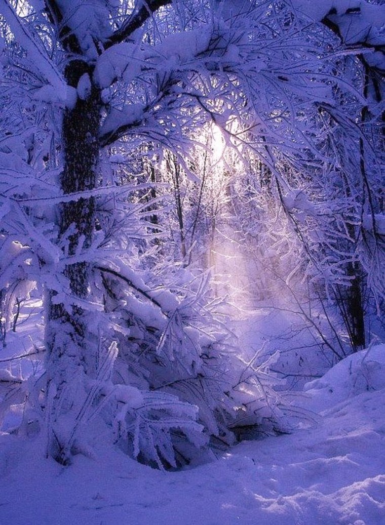 Красота зимы