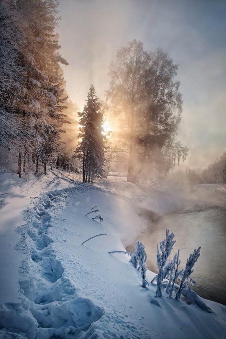 Зима вертикально