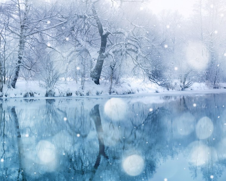 Красота зимы