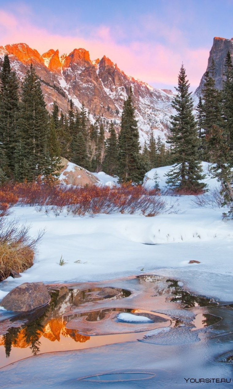 Зимняя природа