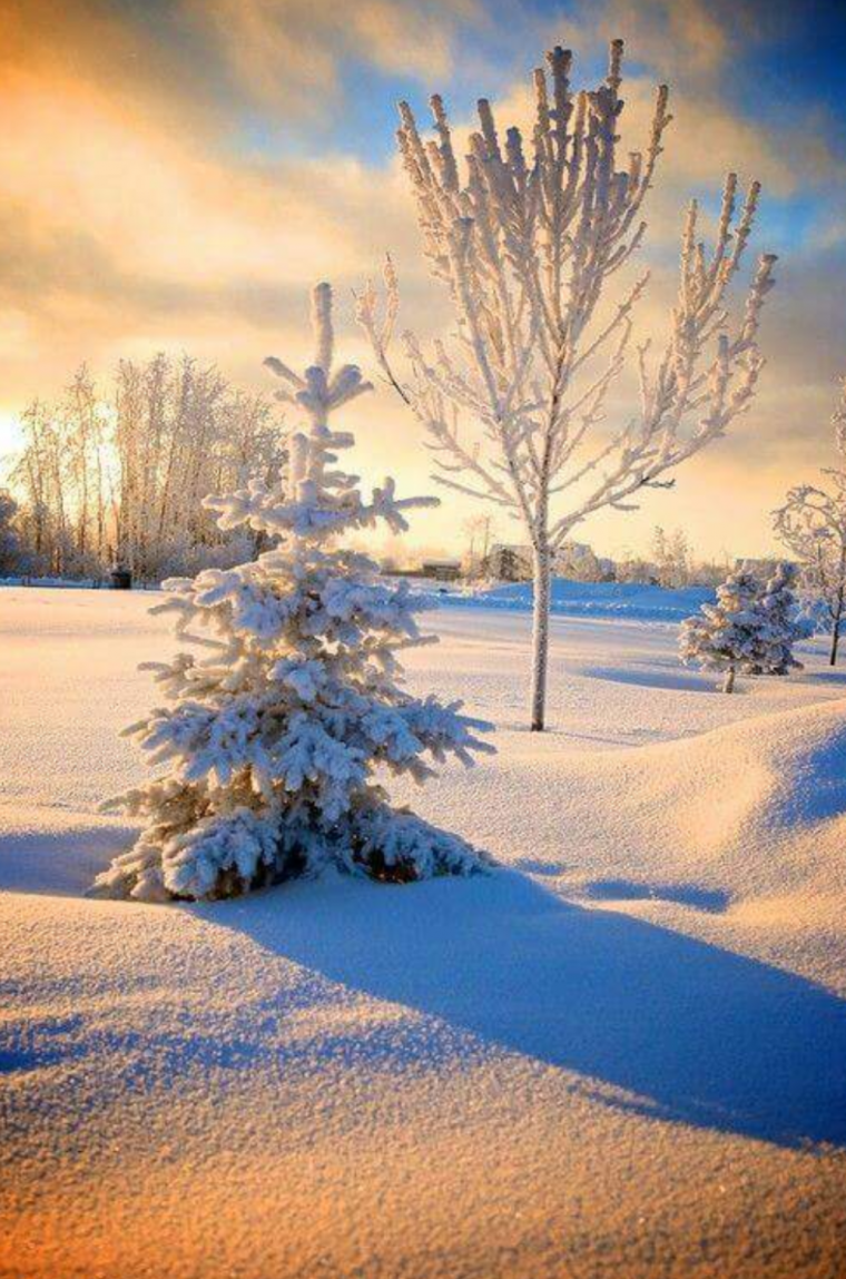 Красивый зимний фон