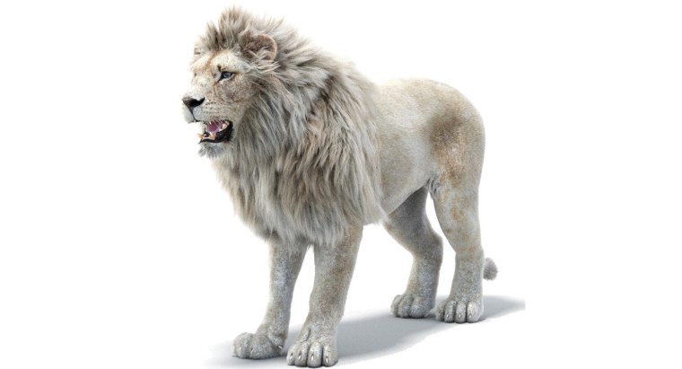 Белый Лев на белом фоне