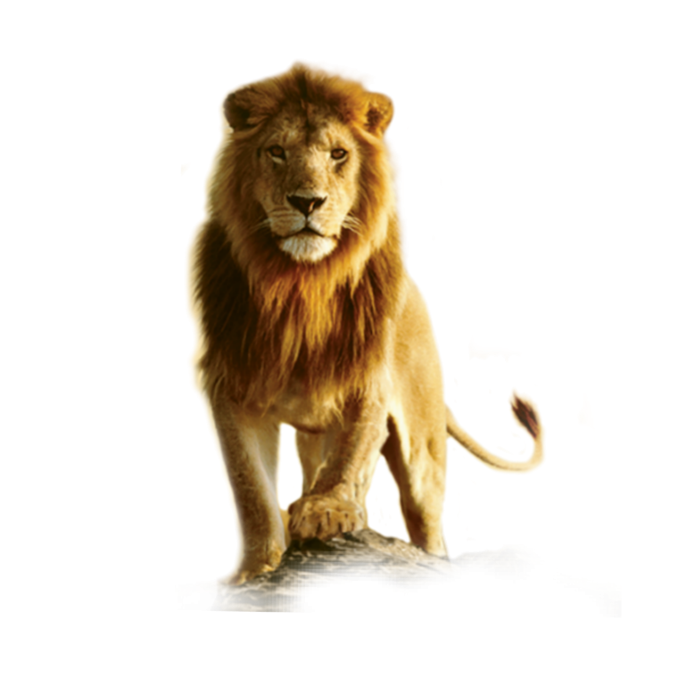 Лев Аслан на белом фоне