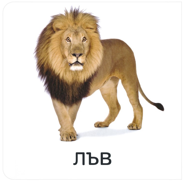 Король Лев Симба взрослый