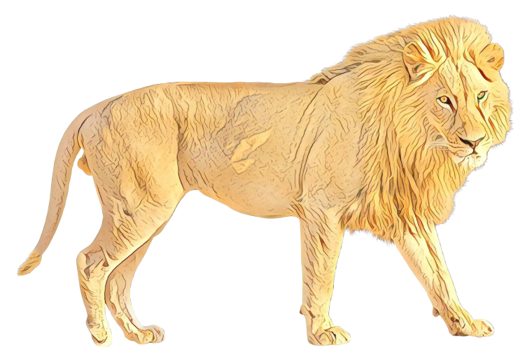 Звери на белом фоне