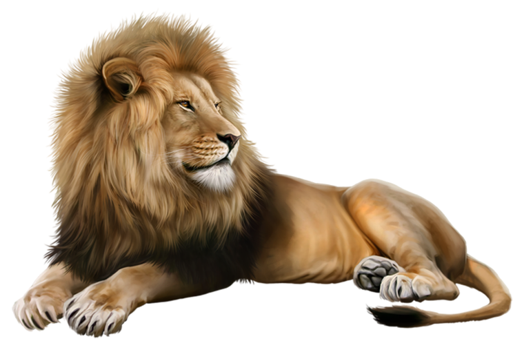 Лев на прозрачном фоне