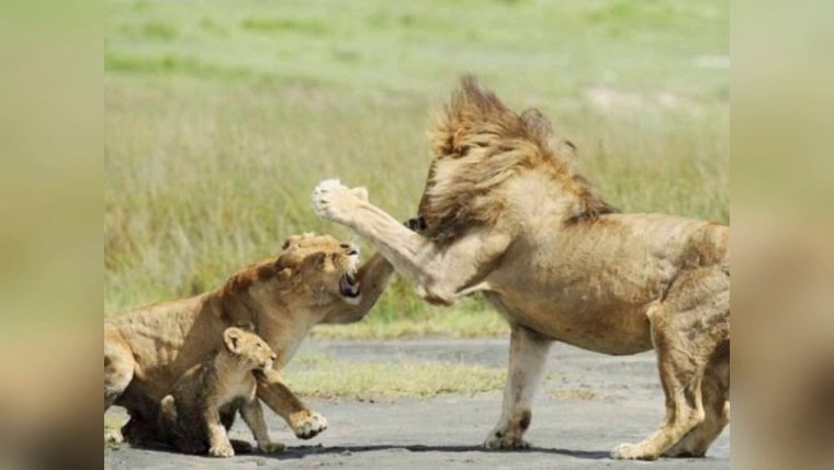 Крутые векторные изображения 4к