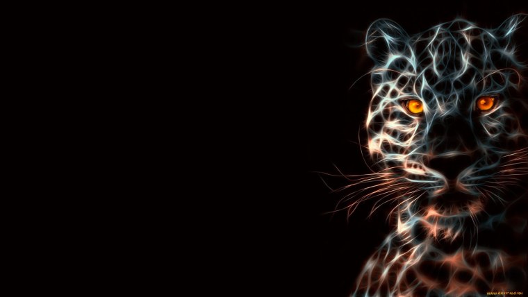 Животные на черном фоне обои