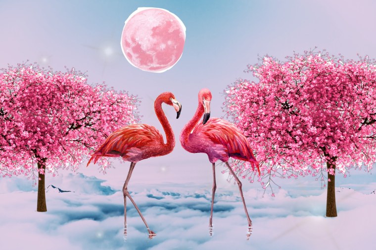 Кургальджинский заповедник