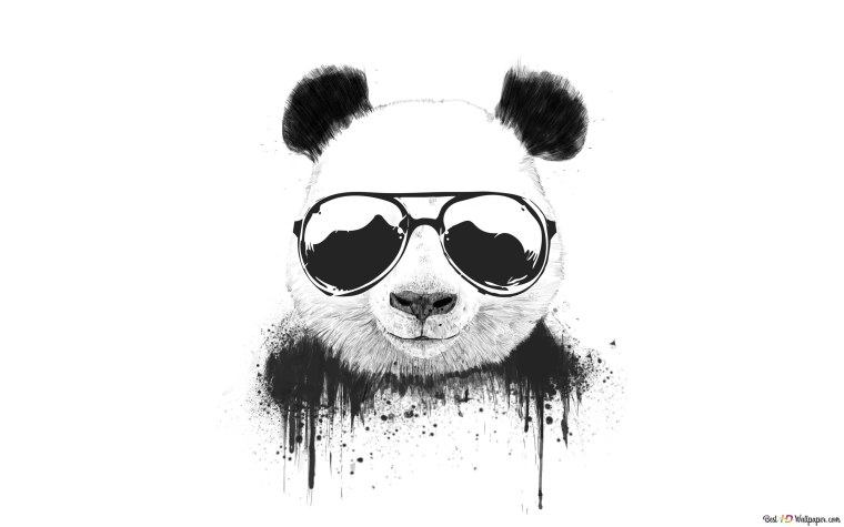 Панда на черном фоне