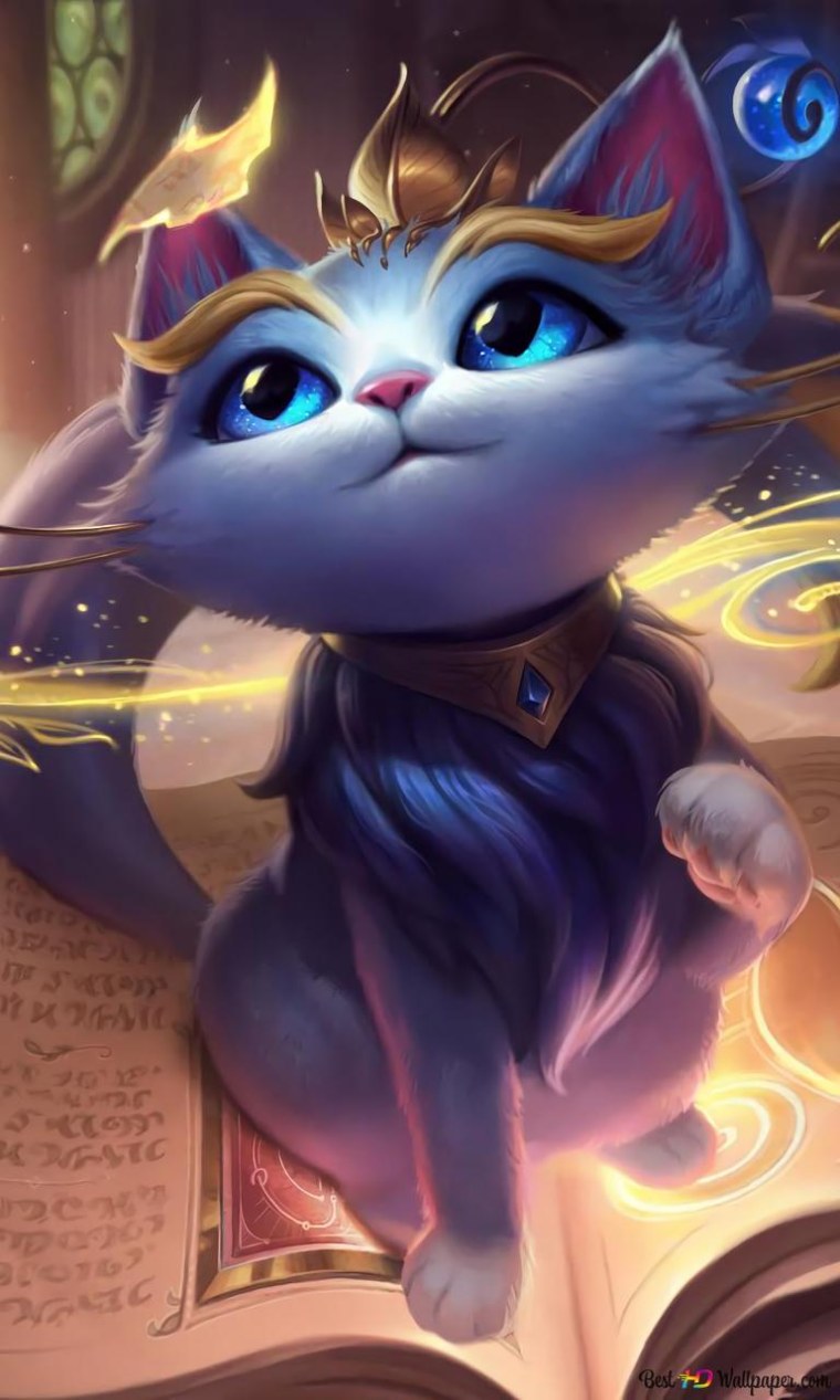 Кошка Юми League of Legends