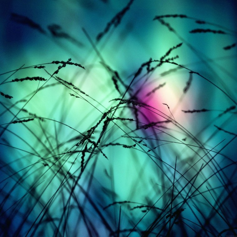 Обои на смартфон