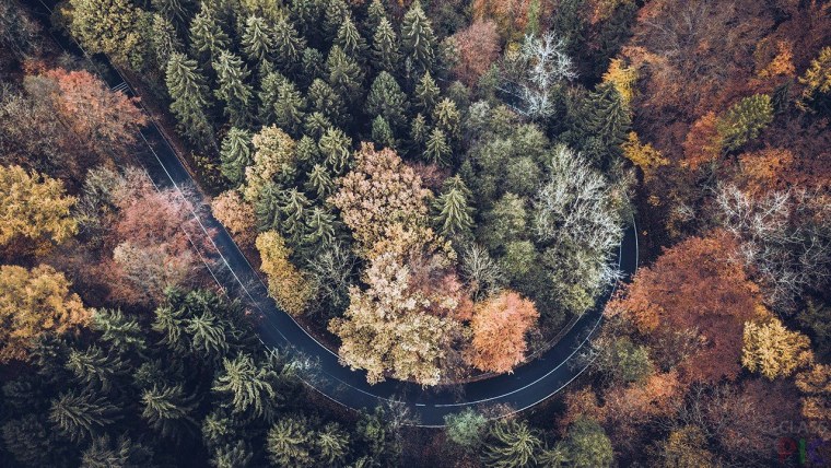 Лес с высоты птичьего полета