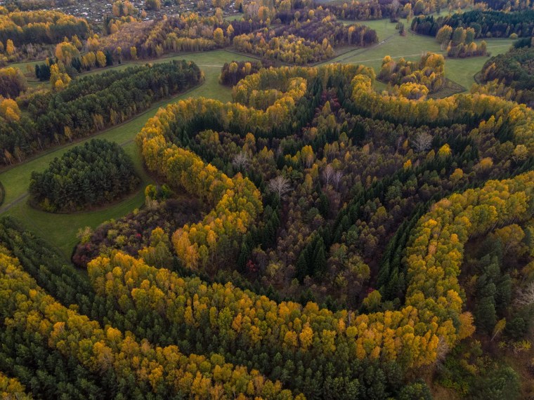Дендропарк Синягина Новосибирск