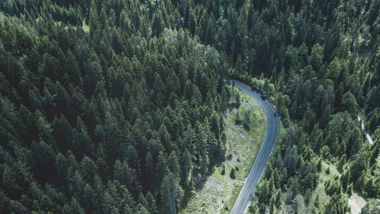 Хвойный лес с высоты