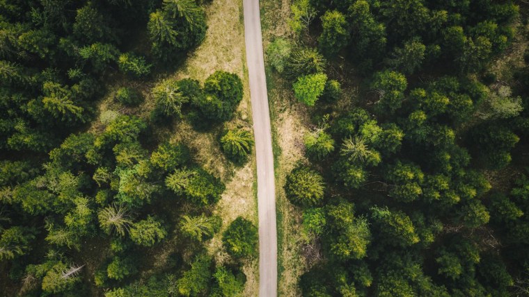 Лесная дорога вид сверху