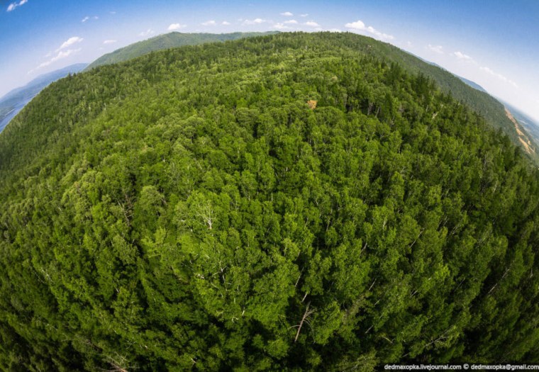 Леса вид сверху