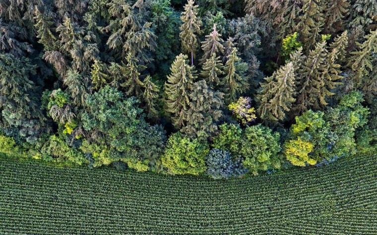 Поле вид сверху