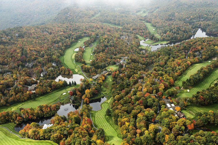 Каролинский лес штат Каролина