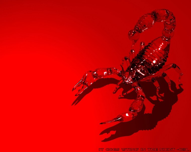 Скорпион на заставку