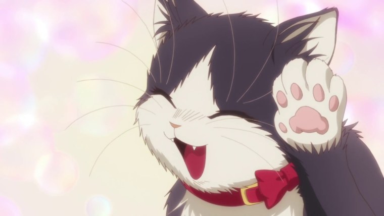 Котята аниме