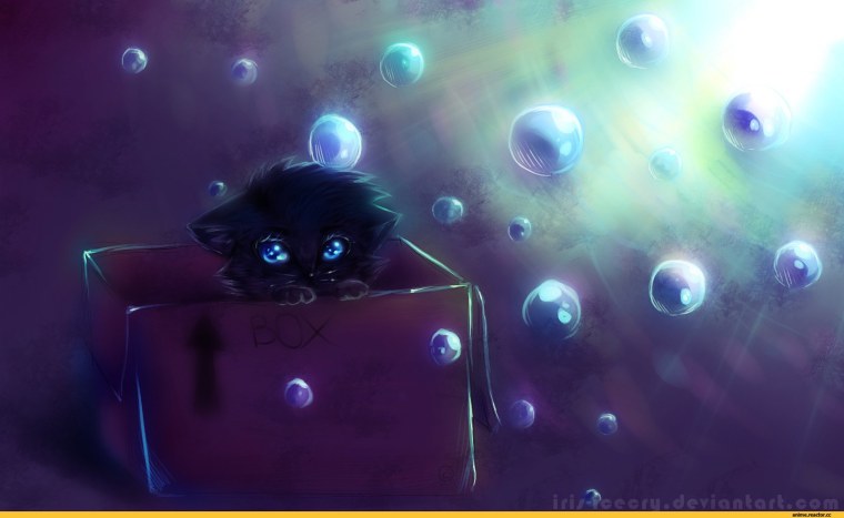 Котики няшки