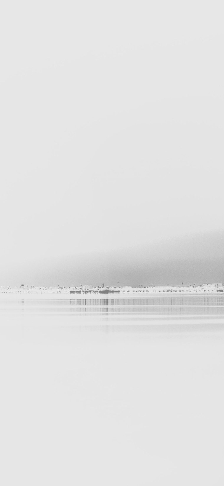 Iphone 12 Pro Max PNG