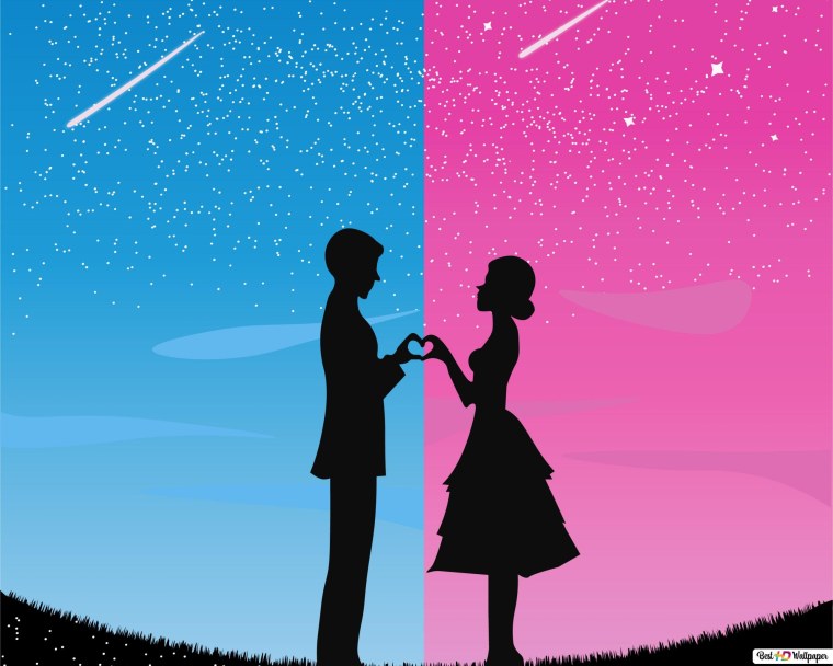 Парные обои для девочек