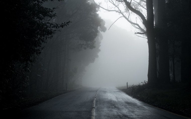 Темный лес ли Цисынь