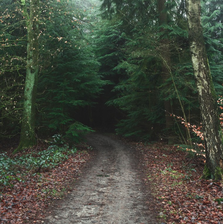 Dark Souls 3 Иритил