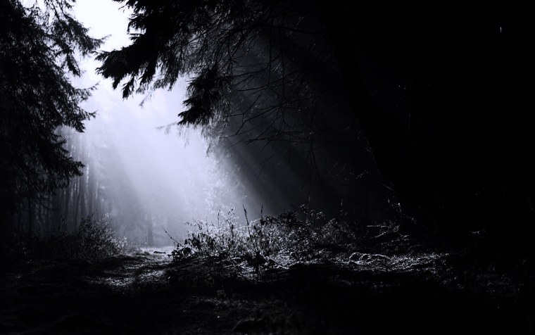 Мрачные леса (2019) фильм