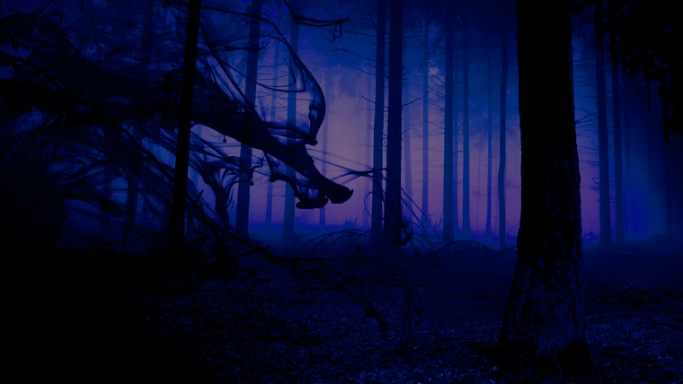 Бладборн Ярнам город