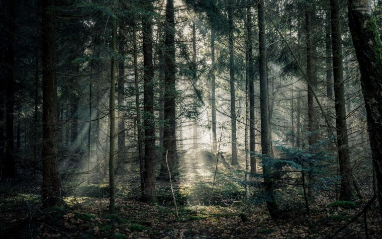 Темное аниме