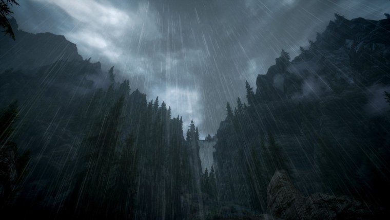 Ведьмак ночной лес