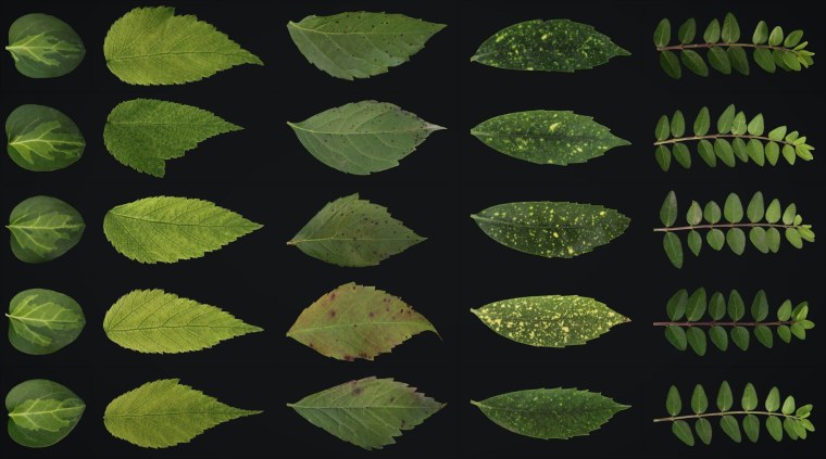 Листик референс