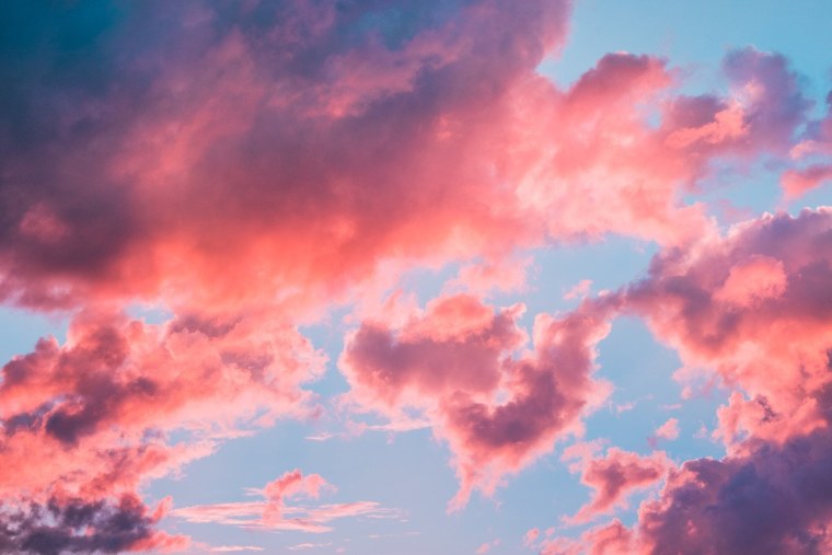 Фиолетовые брызги