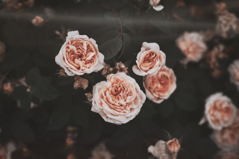 Обои Минимализм скульптура