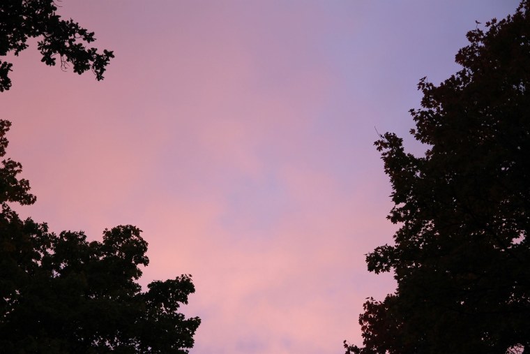 Греческие скульптуры