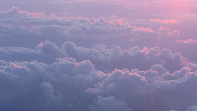 Цветы Минимализм