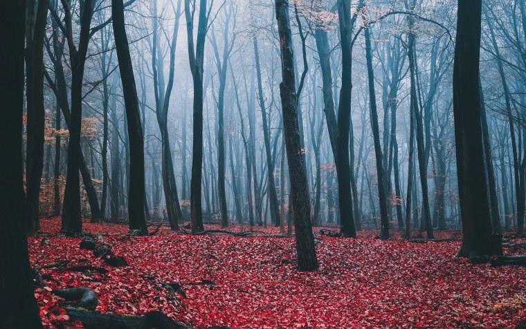 Город в пастельных тонах арт
