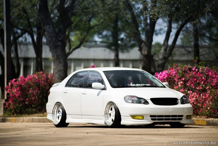 Toyota Corolla e120 стенс