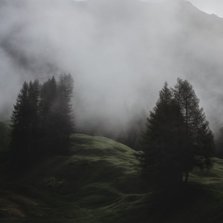 Природа туман