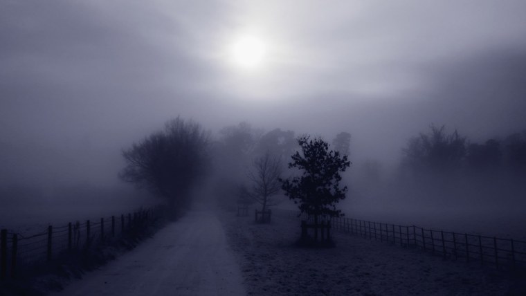 Самый сильный туман