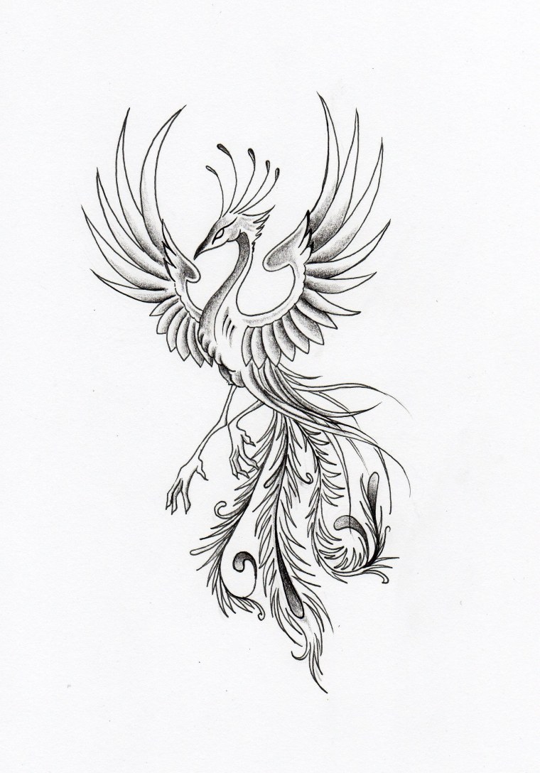 Тату Феникс трайбл
