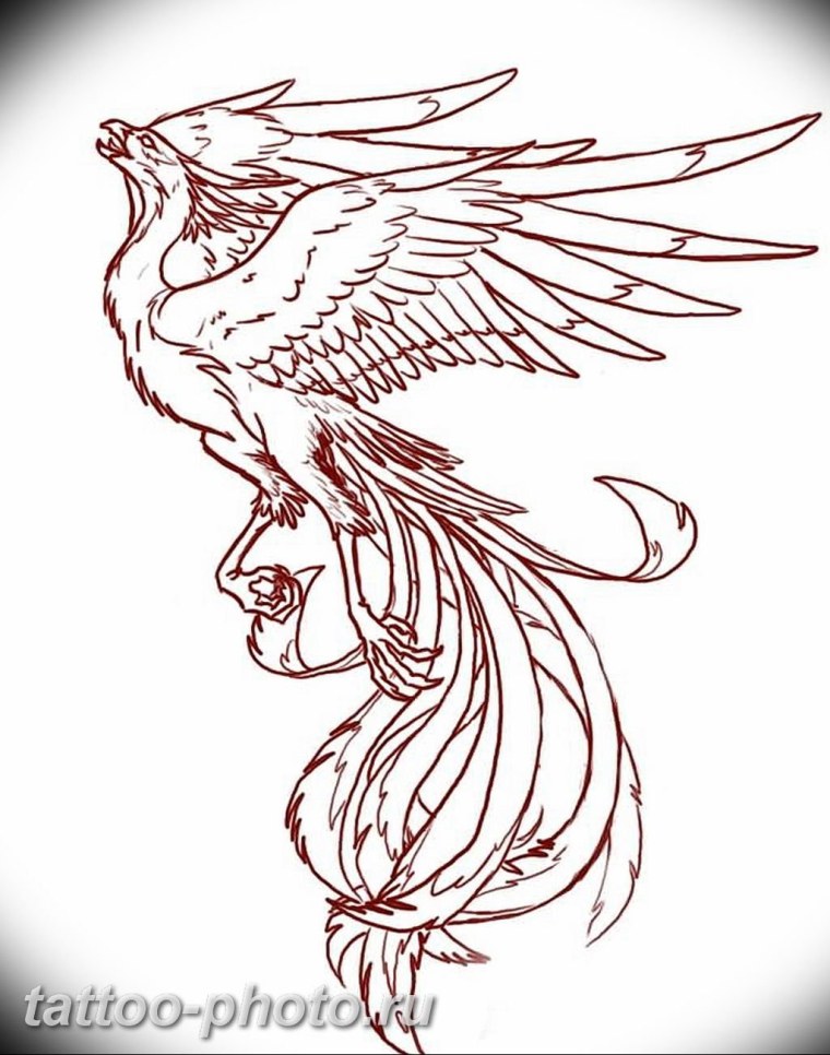 Жар птица силуэт