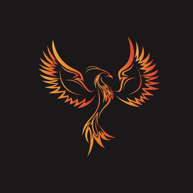 Птица Феникс символ на черном фоне